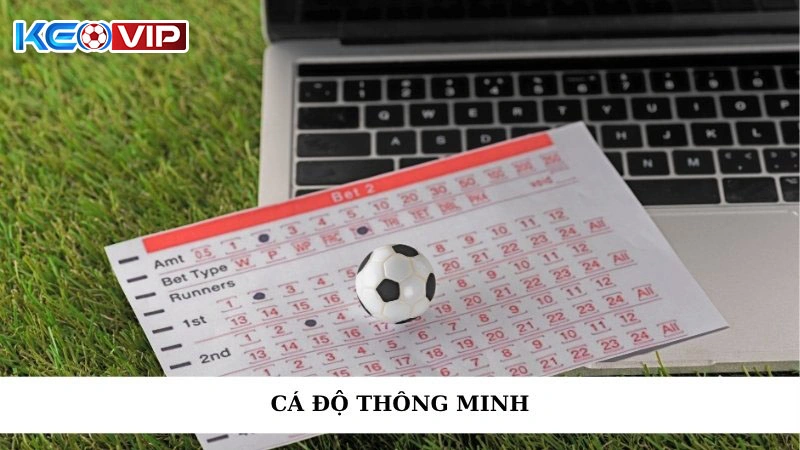 Cá Độ Thông Minh Là Gì? Keonhacai Chia Sẻ Chiến Lược Hiệu Quả